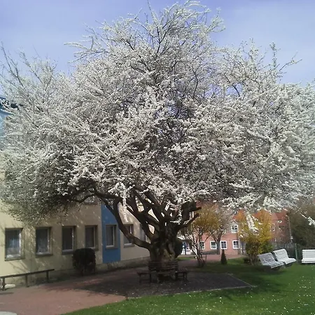 Bertramshof 3* Висмар